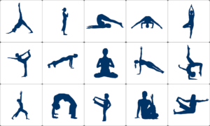 yoga various asanas