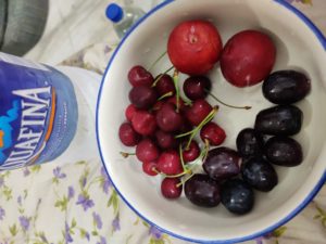 Isheeria 6 months into 2019 zombie blog hop