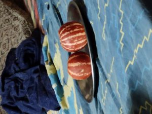 Isheeria 6 months into 2019 zombie blog hop